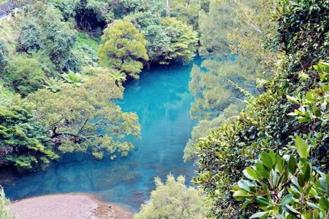 Blue Mountains Private Tour From Sydney With Jenolan Caves - New Castle Holiday 4