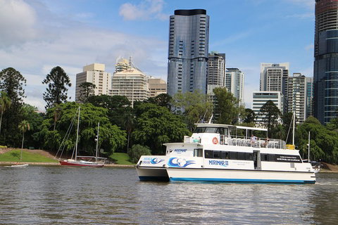 Lone Pine Koala Sanctuary Admission With Brisbane River Cruise - New Castle Holiday 2