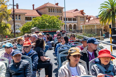 Perth Hop-On Hop-Off Bus Tour - New Castle Holiday 1