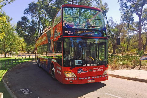 Perth Hop-On Hop-Off Bus Tour - New Castle Holiday 4