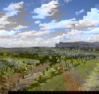 Hunter Valley Wine Tour from Sydney incl Lunch Cheese Chocolate and Distillery - New Castle Holiday