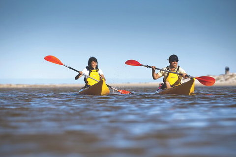Kangaroo Island Self-Guided Kayaking On The Harriet River - New Castle Holiday 2