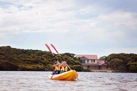 Kangaroo Island Self-Guided Kayaking On The Harriet River - New Castle Holiday 5