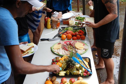 Atherton Tablelands Waterfalls Tour From Cairns - New Castle Holiday 2