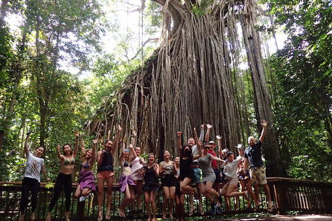 Atherton Tablelands Waterfalls Tour From Cairns - New Castle Holiday 5