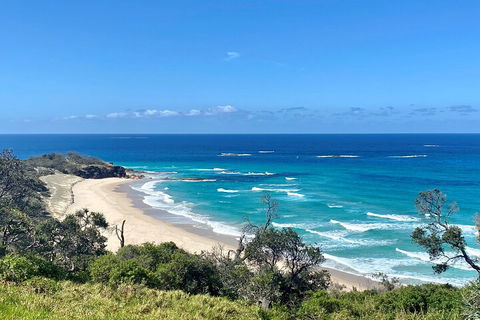Full-Day Small Group Tour To North Stradbroke Island - New Castle Holiday 4