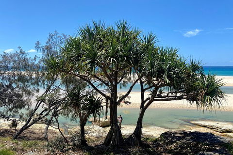 Full-Day Small Group Tour To North Stradbroke Island - New Castle Holiday 5