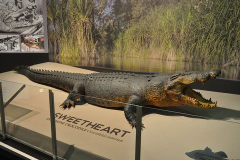 Explore Darwin City Sights Including Key Attractions - New Castle Holiday 2