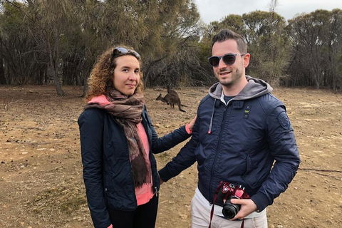 Kangaroo Island 4WD Tour - Best Of KI - New Castle Holiday 3